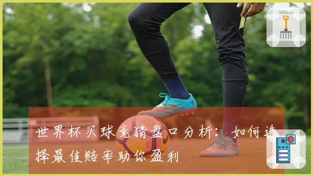 世界杯买球竞猜盘口分析：如何选择最佳赔率助你盈利